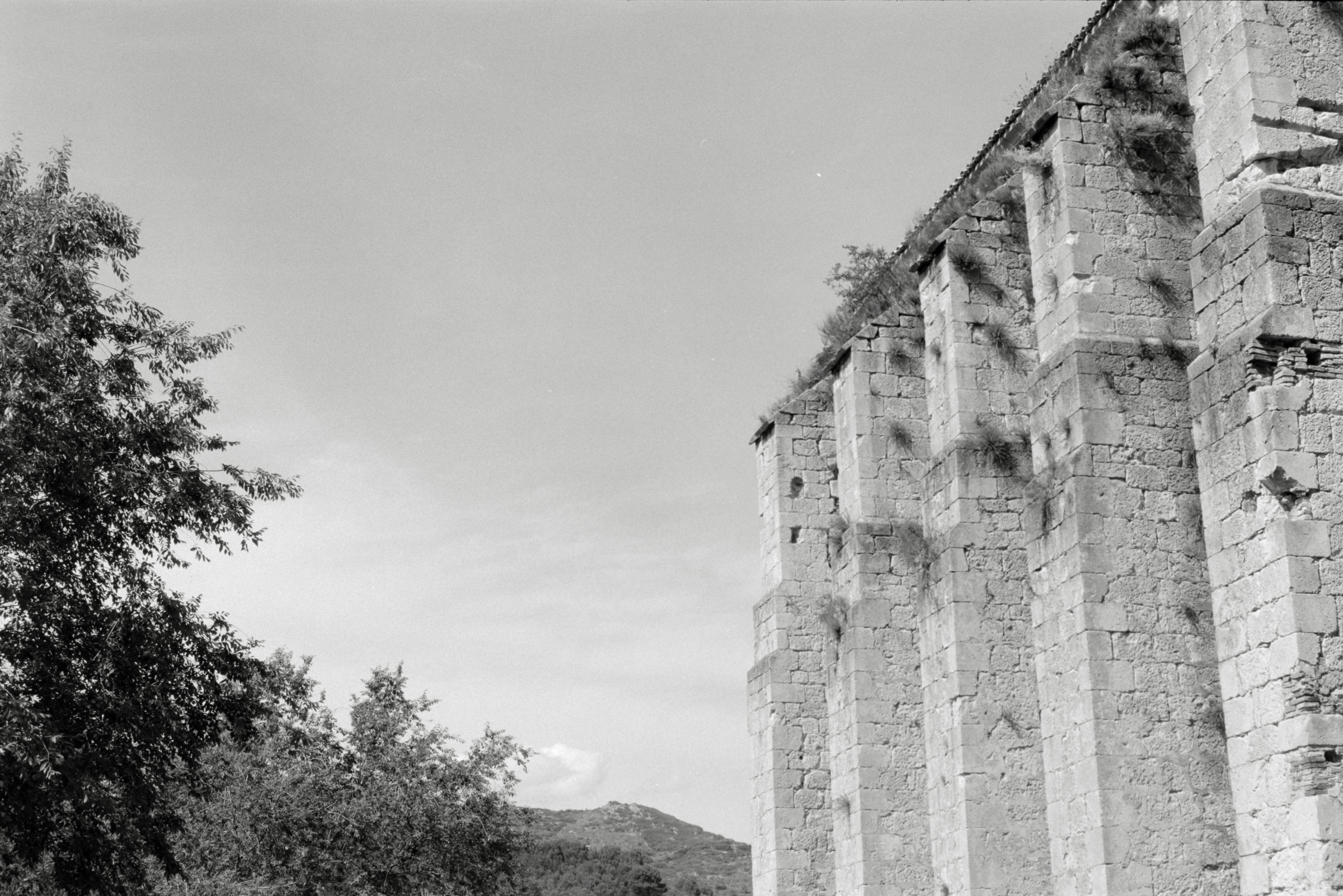 AHP F1995 05 007 sc240826 img07 NLP